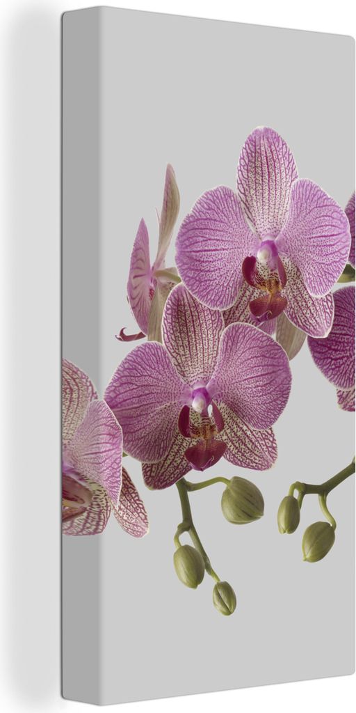 MuchoWow - Leinwandbilder - Orchideen auf grauem Hintergrund, Wandbild, Wanddeko Bilder Wohnzimmer, 20x40 cm