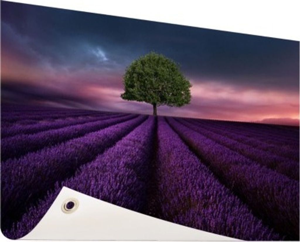 Gartenposter - 60x40 cm - Baum in einem violetten Blumenfeld - Modernes Wandbilder - Natur