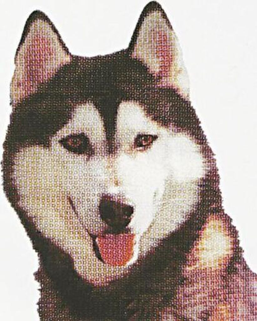 PVC-Aufkleber - Husky - Gr. ca. 10 x 8 cm - 307073