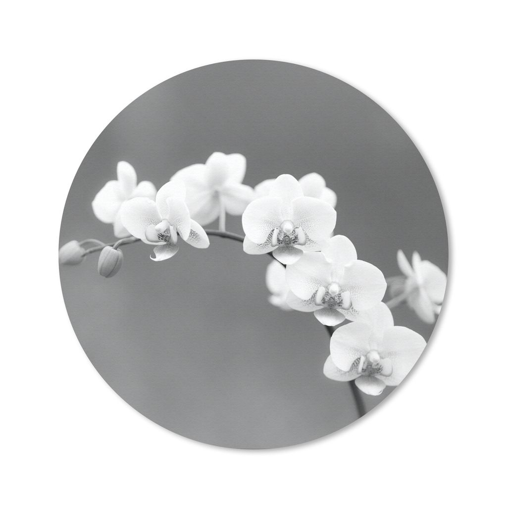 MuchoWow Mauspad Mousepad Orchidee - Blumen - Pflanze - Weiß - Lila 40x40 cm - Mousepads - Maus Mat - Pad - Mausunterlage - Schreibtisch Accesso...