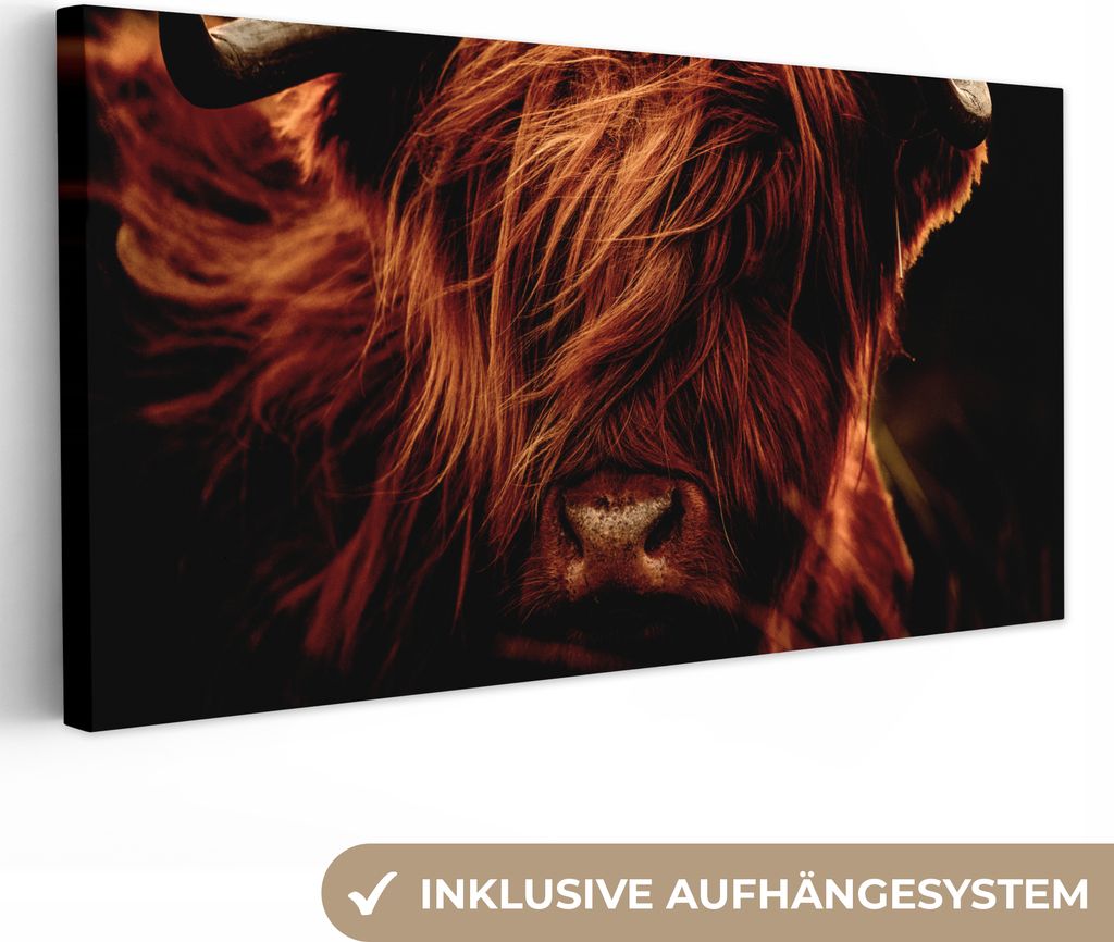 MuchoWow - Leinwandbilder - Schottischer Highlander - Kuh - Hörner - Porträt - Tiere, Wandbild, Wanddeko Bilder Wohnzimmer, 80x40 cm