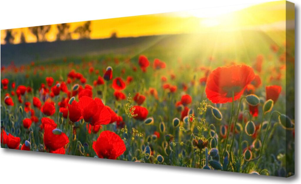 Tulup Leinwand-Bilder 125x50 Wandbild Canvas Kunstdruck Wiese Blumen Natur