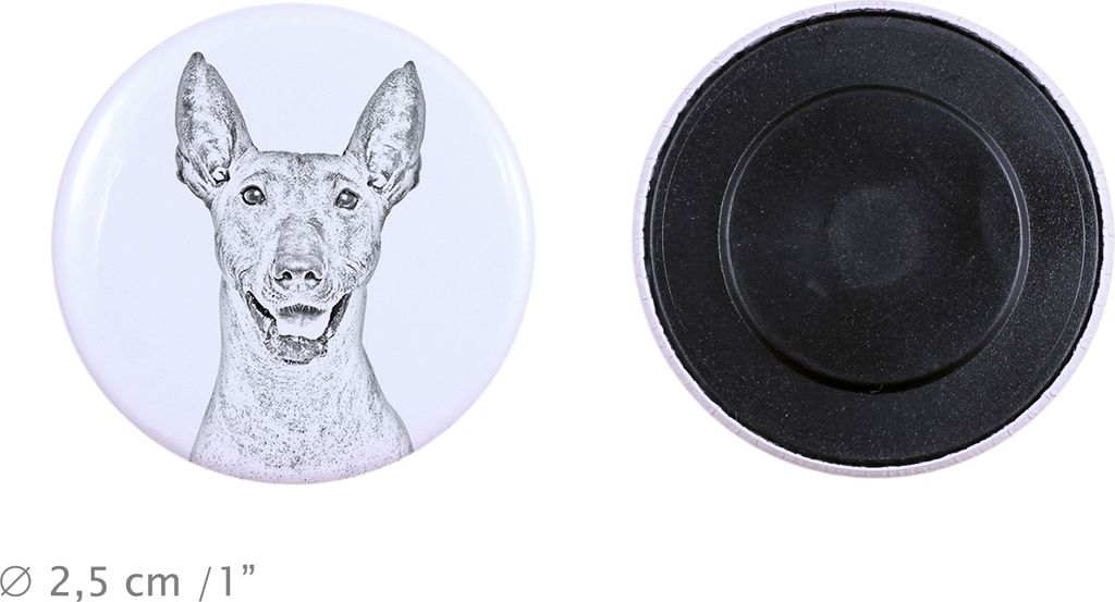 Mexikanischer Nackthund, Xoloitzcuintle, Xolo, Tepeizeuintli Magnet mit einem Hundepfotenabdruck, außergewöhnlich leicht, starker Magnet, handgef...