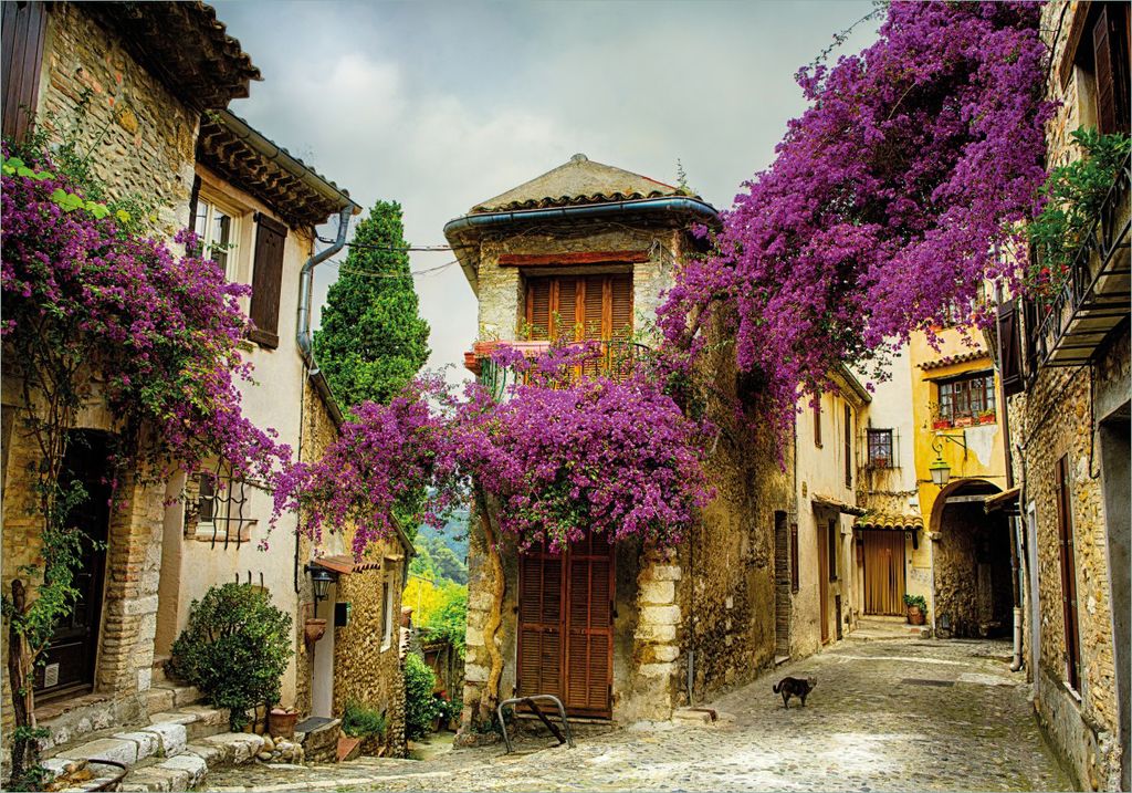 Wallario Poster - Malerische Stadt in der Provence mit bunten Blumen, Kunstdruck Größe: 70 x 100 cm