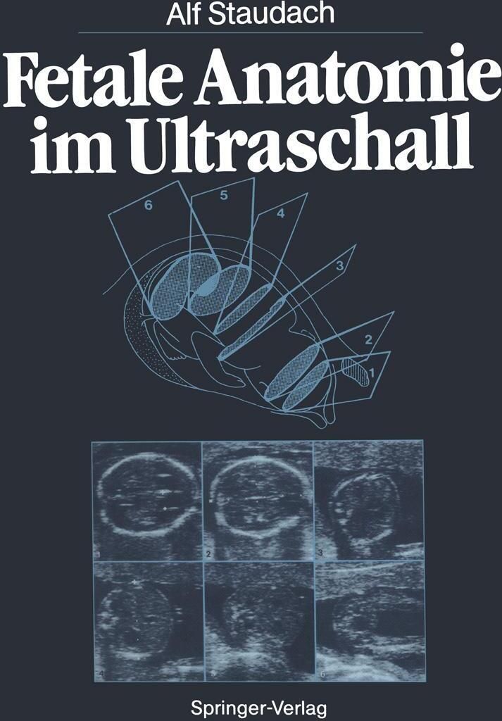 Fetale Anatomie im Ultraschall