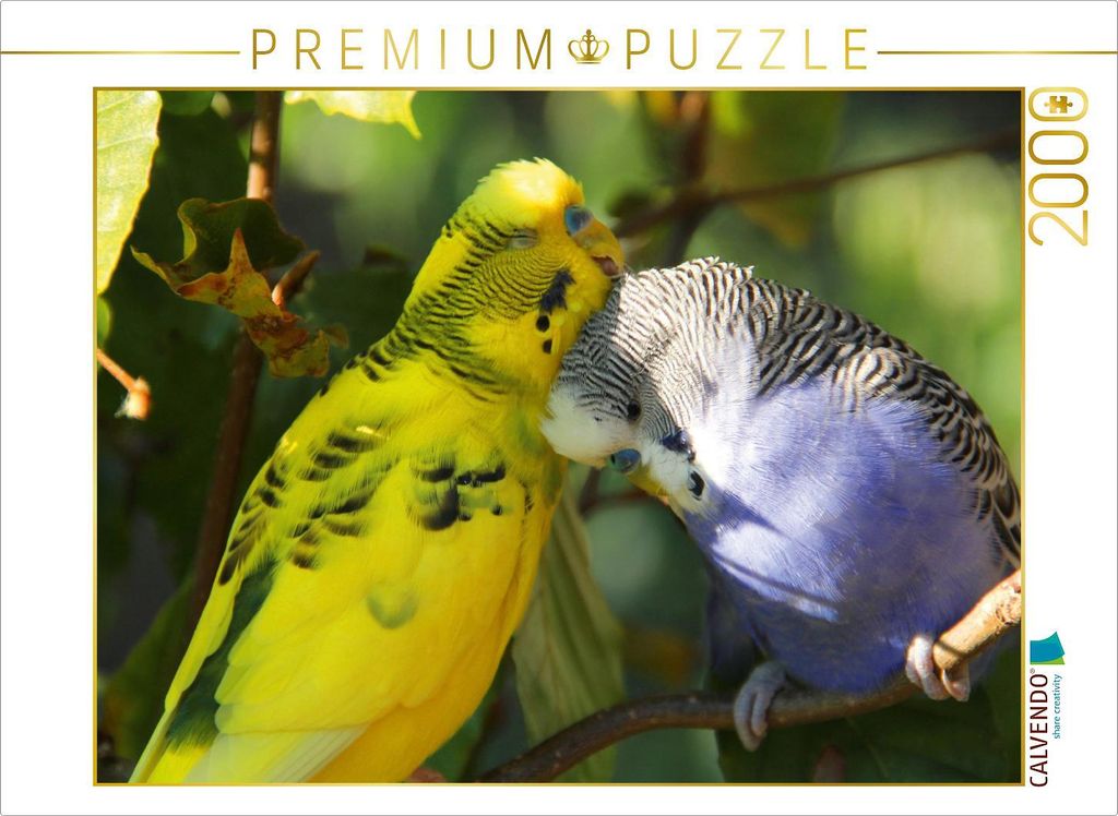 CALVENDO Puzzle Wellensittich Freunde 2000 Teile Puzzle quer | 2000 Teile Lege-Größe 90x67cm Foto-Puzzle für glückliche Stunden