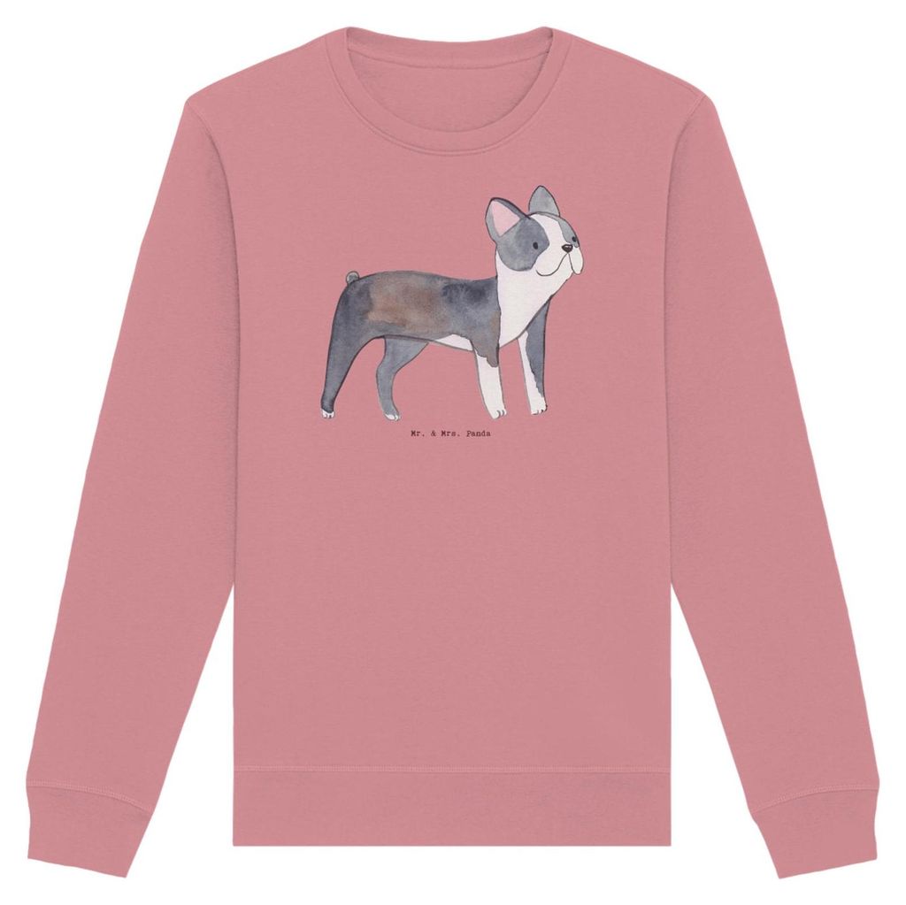 Mr. & Mrs. Panda Baumwoll Pullover Boston Terrier Moment Größe S - Canyon Pink - Geschenk, Eco, Pulli, Sweater, Sweatshirt