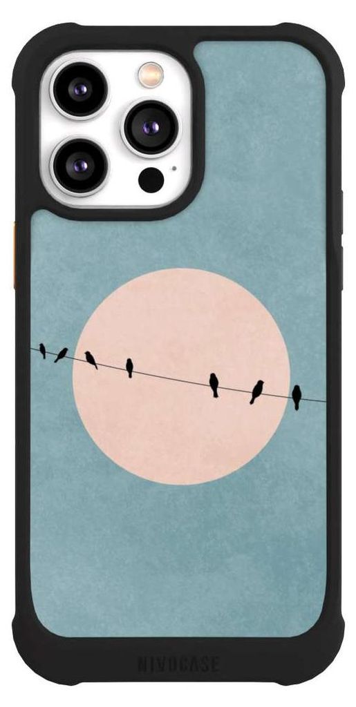 NIVOCASE Hülle für Apple iPhone 14 Pro Max Stoßfeste Handyhülle NIVOmax Case Schwarz Mond Vogel türkis