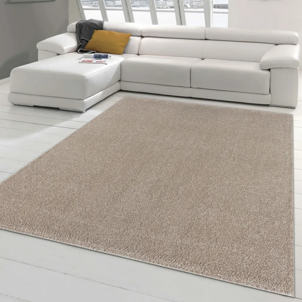 Tapis Salon 200x290 Beige Classique - Ambiance Cozy & Unique