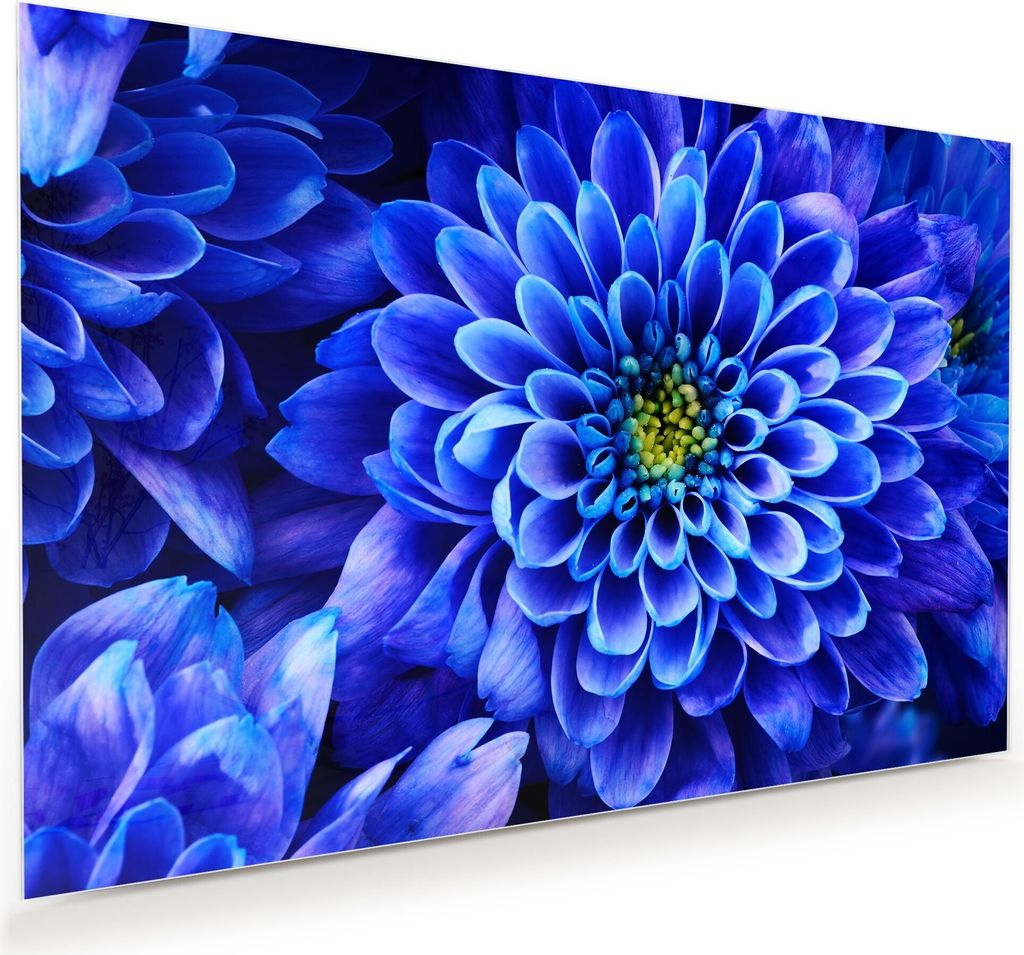 Glasbild Wandbild Blaue Blume von Nahemn 90x60cm in XXL für Wohnzimmer, Schlafzimmer, Badezimmer, Flur