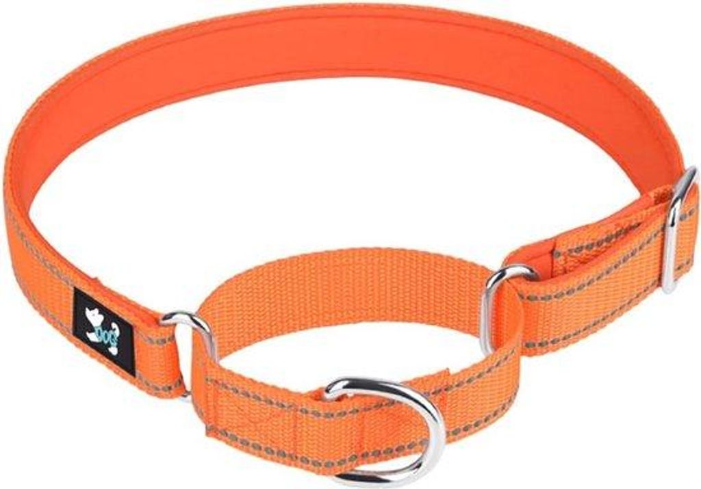 Einstellbare Martingale Halsband Neopren Mittel Größe Orange