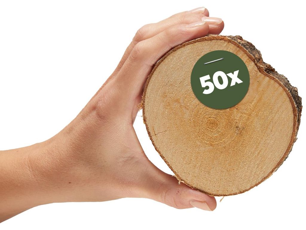 Kleine 8 cm Baumscheiben 50er Pack zum Holz-Deko Basteln Produktbild 