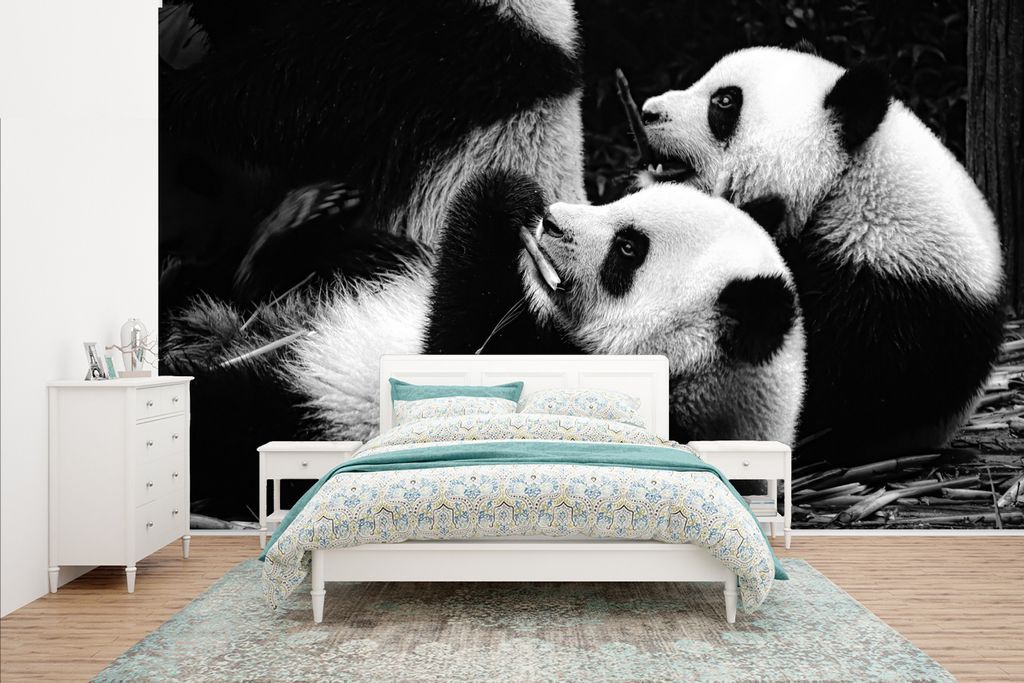 MuchoWow Fototapete für Wohnzimmer oder Schlafzimmer Wandtapete Vinyl Motivtapete Pandas - Schwarz - Weiß - 435x260 cm - Kinderzimmer