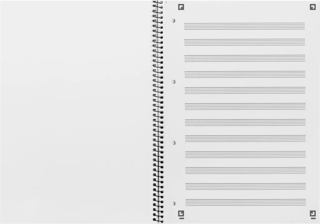 Bloc-notes A4+ pour Comptabilité et Tableaux Réglure 14 - Lot de 10 ex
