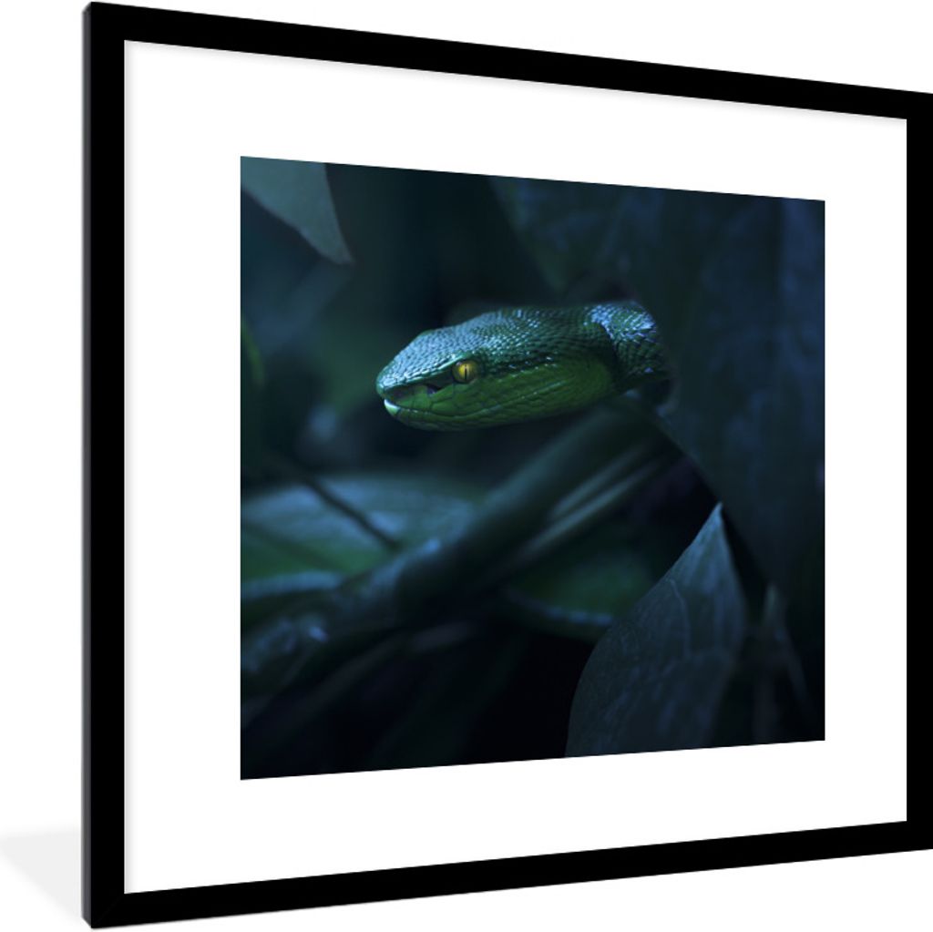 MuchoWow® Gerahmtes Poster Schlange - Makro - Holz 40x40 cm Produktbild 