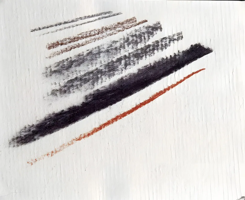 Papier Ingres Clairefontaine 80g 50x65 Blanc texture vergée 25 Fl.
