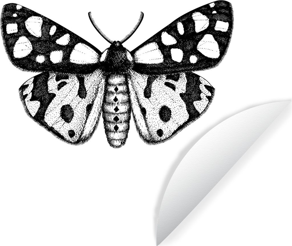 MuchoWow Runde Wandtattoo - Wandsticker Tapete Aufkleber Schmetterling - Vintage - Schwarz und weiß Ø 80 cm Selbstklebend und Repositionierbar ...