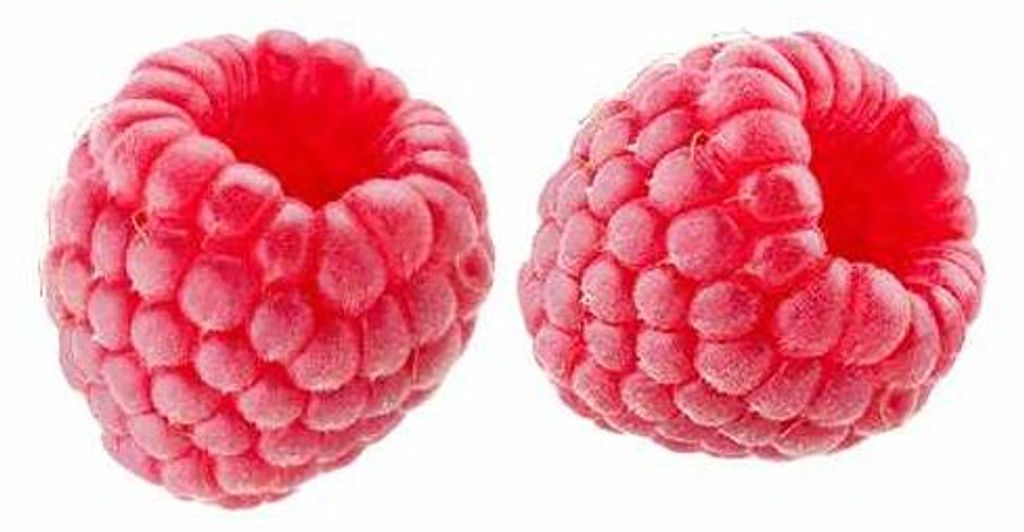 Himbeere Aroma-Queen - Rubus idaeus Aroma Queen 60-70 cm