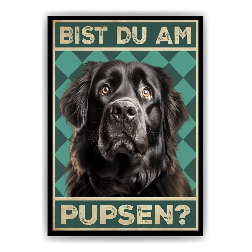 Neufundländer - Bist du am Pupsen? Hunde Poster Badezimmer Gästebad Wandbild Klo Toilette Dekoration Lustiges Gäste-WC Bild DIN A4 – DIN A4 (2...