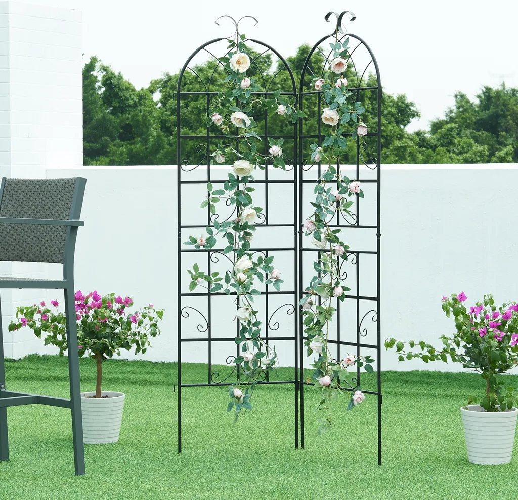 Treillis en Acier Noir Barrea 180x50 cm - Tuteur Robuste pour Rosiers x2