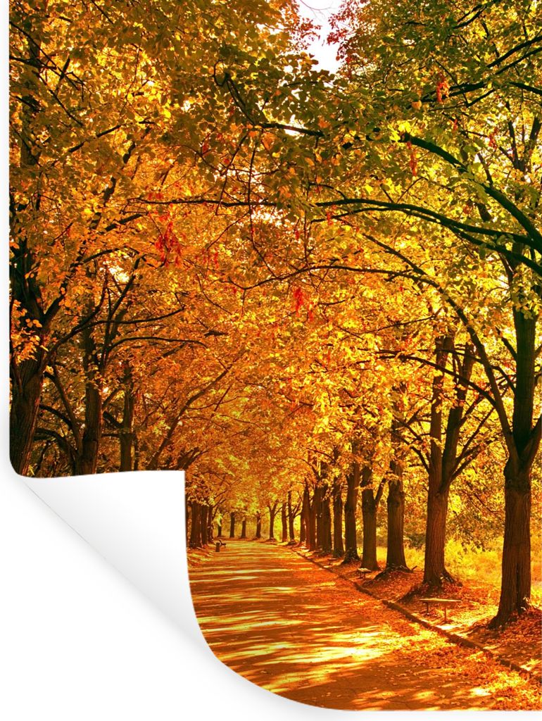 MuchoWow Wandtattoo Wandsticker Wandaufkleber Wald - Herbst - Jahreszeiten - Ländlich 90x120 cm Selbstklebend und Repositionierbar - Faltenfrei