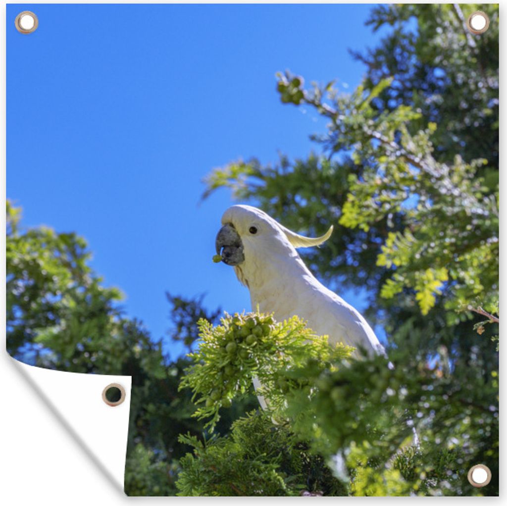 MuchoWow 50x50 cm Outdoor-Poster Gartendeko Sichtschutz Garten Poster für den Garten Weißer Kakadu in einem grünen Baum