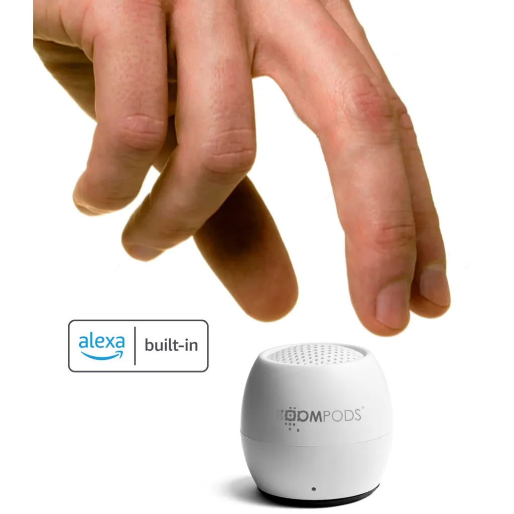 Enceinte Bluetooth Incassable avec Micro pour Appels et Alexa Intégrée