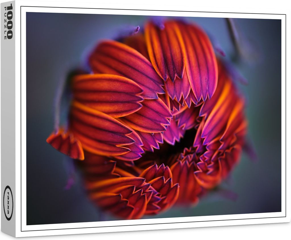 raxxa Premium-Puzzle "Calendula #001", 1000 Teile