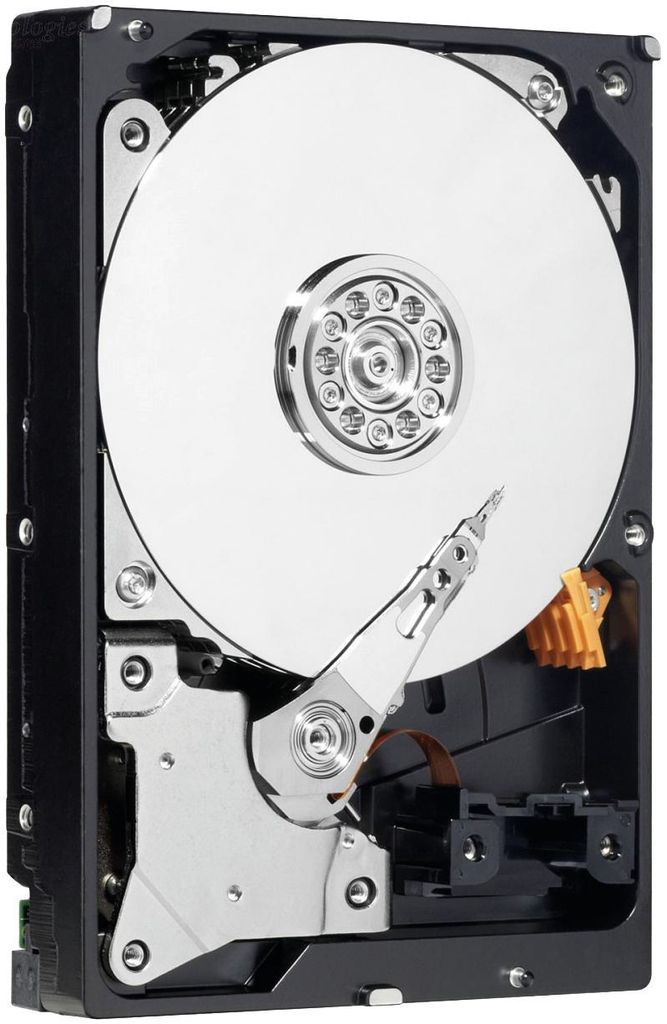 Western Digital Black, 1 TB, 7200 ot/min, 64 MB, 3.5", Obrázok produktu 