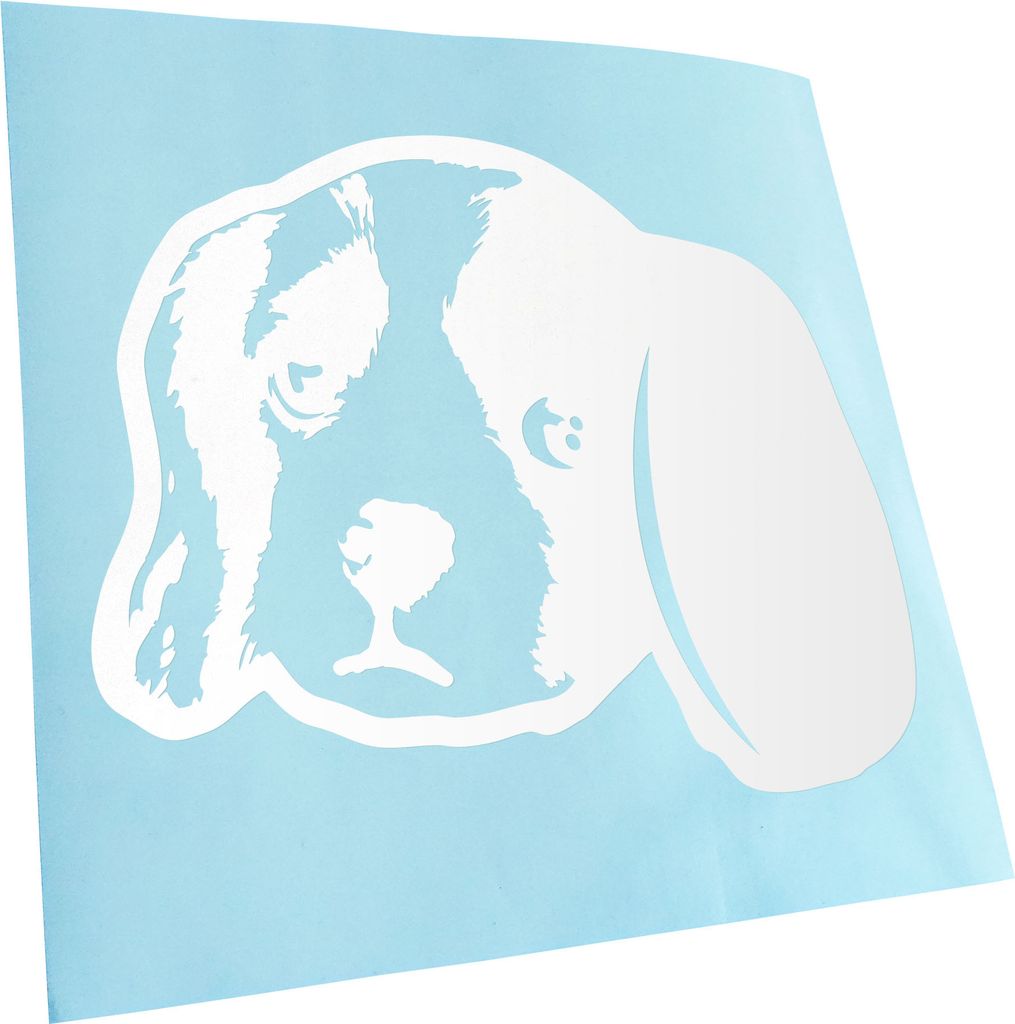 Kiwistar - Autoaufkleber - English Toy Spaniel Hund - Weiss - 40x33cm - Aufkleber für Auto, Laptop, Fahrrad, LKW, Motorrad Mehrfarbig JDM Decal Ra...