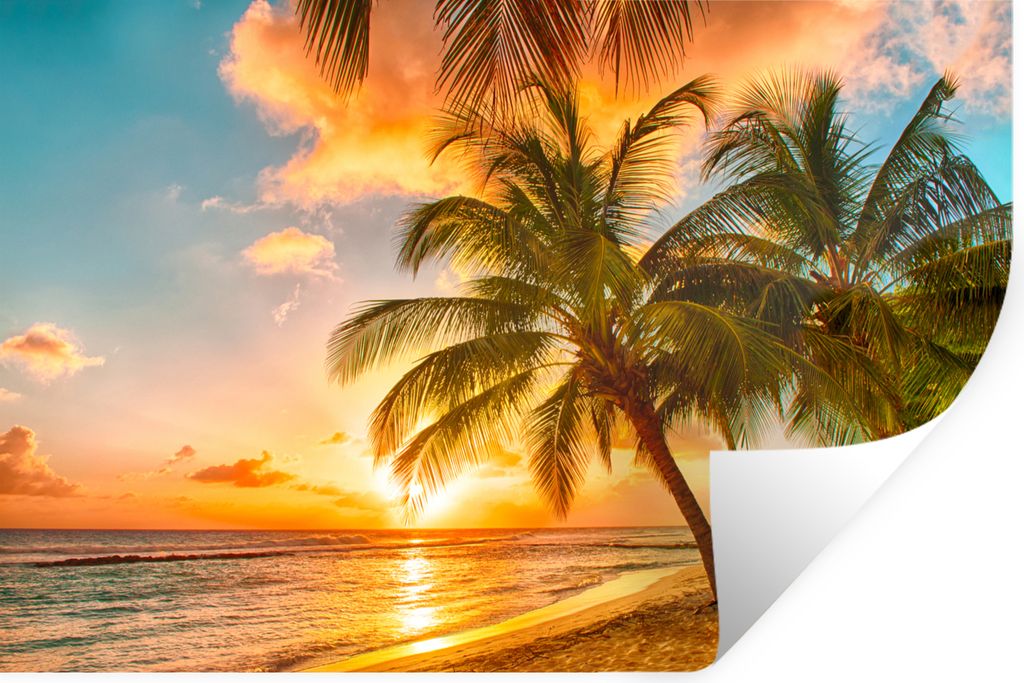 MuchoWow Wandtattoo Wandsticker Wandaufkleber Sonnenuntergang - Palme - Wolken - Meer - Strand 60x40 cm Selbstklebend und Repositionierbar - Wier...