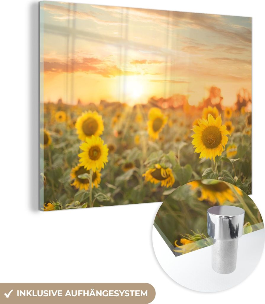 MuchoWow Glasbilder - Bilder auf Wandbild - Foto auf Glas Sonnenblume - Sonne - Blumen 80x60 cm Wanddekoration aus Glas - Acrylglasbild - Acrylbild...