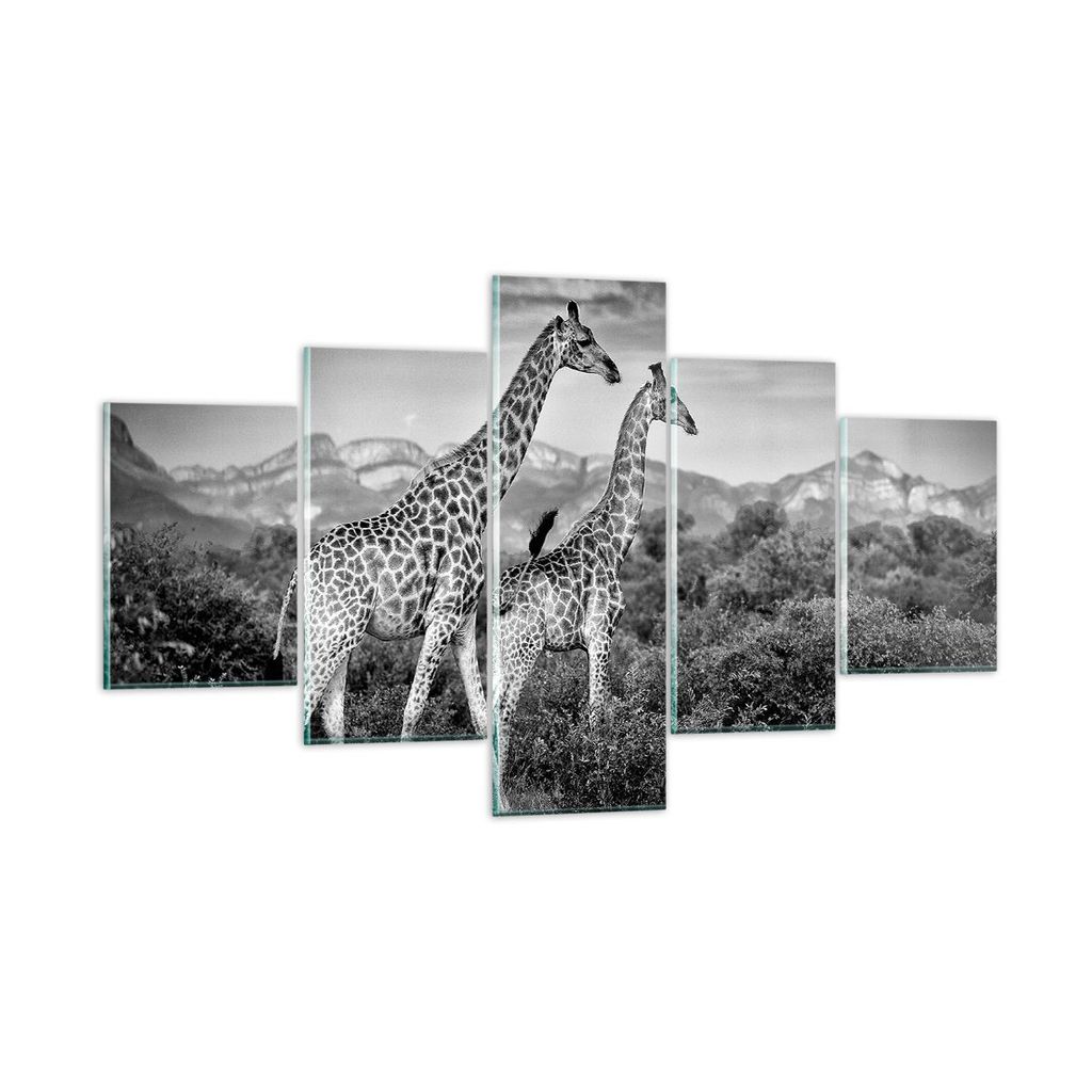Bilder auf glas - 5 Teile - Giraffen Schwarzweiß Fotografie - 125x70cm - Glasbilder - Wandbilder - Bilder - Wanddekoration aus Glas - Glas Bilder ...
