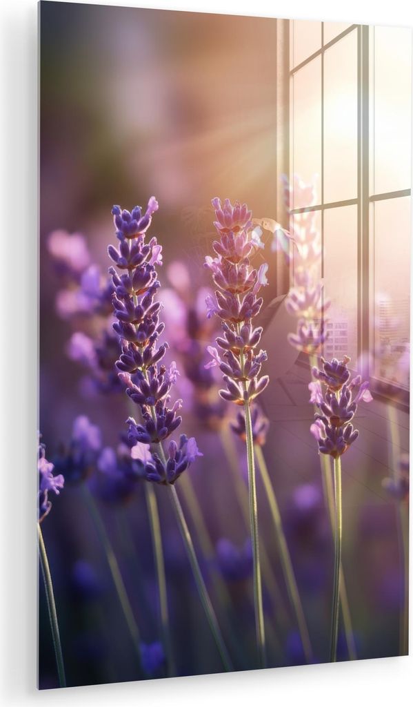 MuchoWow Glasbilder - Bilder auf Wandbild - Foto auf Glas Lavendelblüten - Lila - Sonnenlicht 80x120 cm Wanddekoration aus Glas - Acrylglasbild - ...