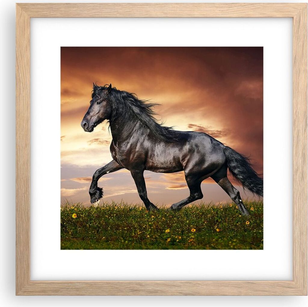 Gerahmtes Poster - Rahmen in heller Eiche - Pferd Tier Wiese - 30x30 cm - Wand Bild - Wanddeko - Wandbilder - Kunstposter - Wandposter - Bilderrahm...