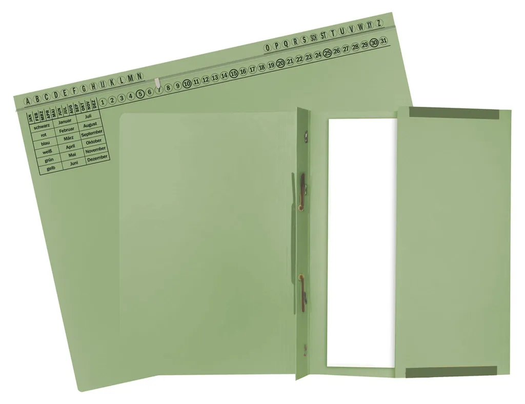 Exacompta 371125B Lot de 25 Dossiers Suspendus Exaflex en Carton Vert