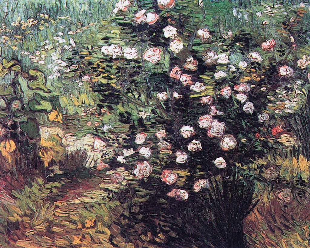 Vincent Van Gogh Kunstdruck Bild - Blühender Rosenbusch, 1889 (40 x 50 cm)