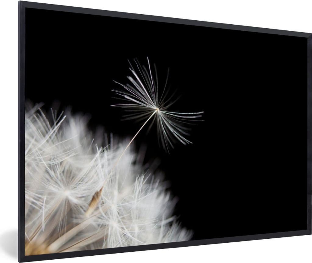 MuchoWow Gerahmtes Poster Blume - Löwenzahn - Pflanze 30x20 cm - Poster mit Schwarzem Bilderrahmen Wandposter Rahmen Foto Bilder - Kunstdruck - ...