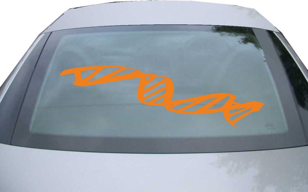 Indigos UG - Aufkleber Heckscheibe & Motorklappe DE6972 - orange - 600x189 mm - Strang DNS - Auto Scheiben Fenster Heckklappe Tuning Racing JDM - D...