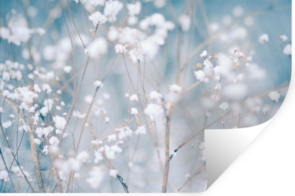 MuchoWow Wandtattoo Wandsticker Wandaufkleber Äste - Schnee - Winter - Natur - Botanisch 60x40 cm Selbstklebend und Repositionierbar - Wierderve...