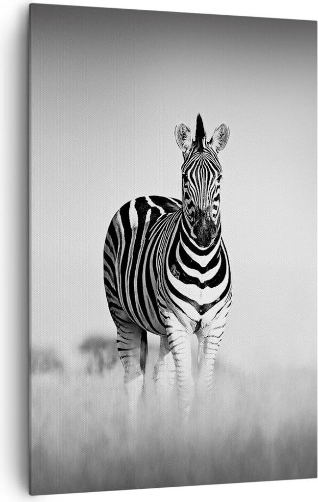 Bild auf Leinwand - Leinwandbild - Einteilig - Zebras Fotografie Schwarzweiß - 80x120cm - Wand Bild - Wandbilder - Leinwanddruck - Wanddekoration ...