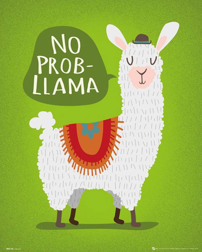 Tiere - Mini-Poster - Llama - No Probllama