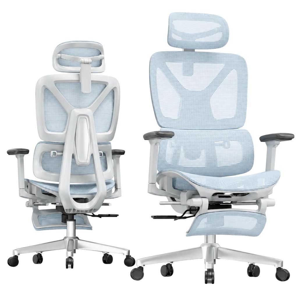 FLEXISPOT ErgoX Ergonomischer Bürostuhl mit Fußstütze, Produktbild 