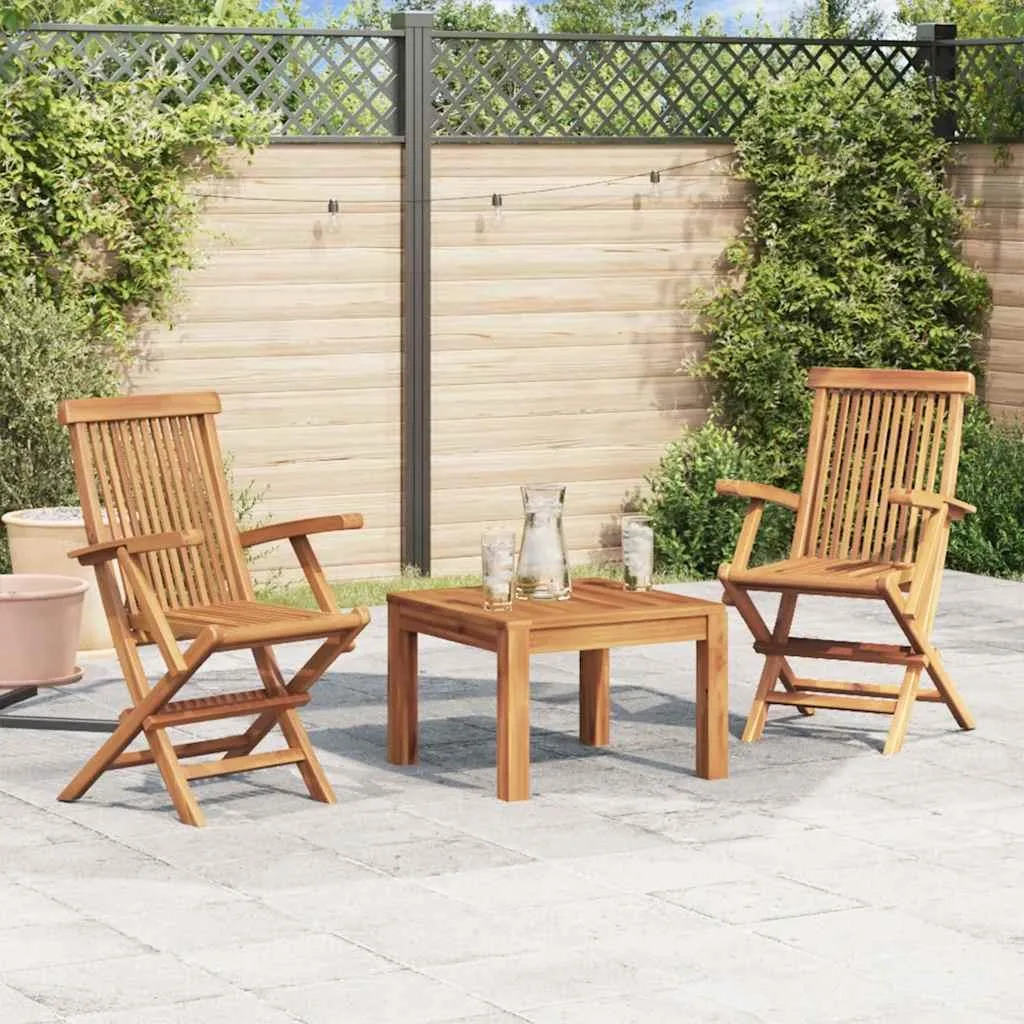 Chaises de jardin en bois de teck massif pliable robuste lot de 2 pcs