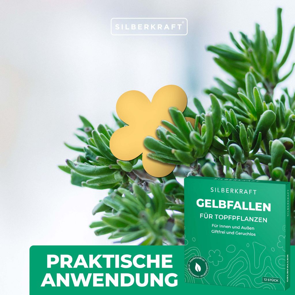 PIC Gelbsticker Trauerm&uuml;cken - 60x Gelbtafeln Gegen Trauerm&uuml;cken, Effektiv Gelbfalle F&uuml;r Trauerm&uuml;cken Und Gegen Kleine Fliegen In Blumenerde, Alternativ Zu Nematoden Gegen Trauerm&uuml;cken Bek&auml;mpfen