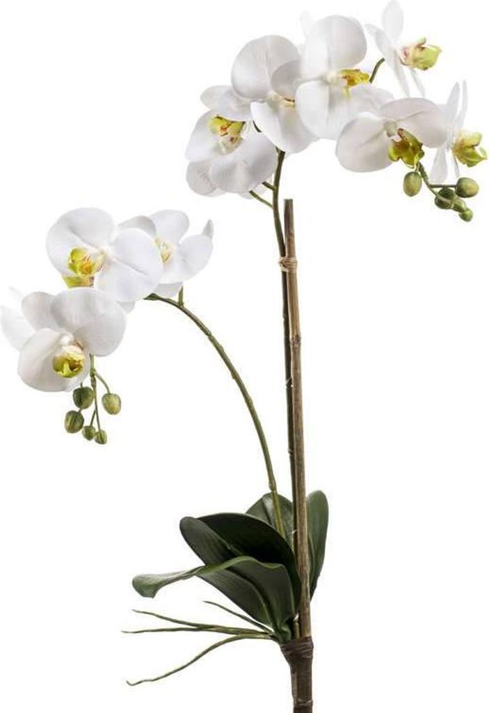 artplants.de Künstlicher Phalaenopsis Orchideezweig Candida, Blätter, weiß, 65cm - Deko Blütenzweig - Kunst Blume