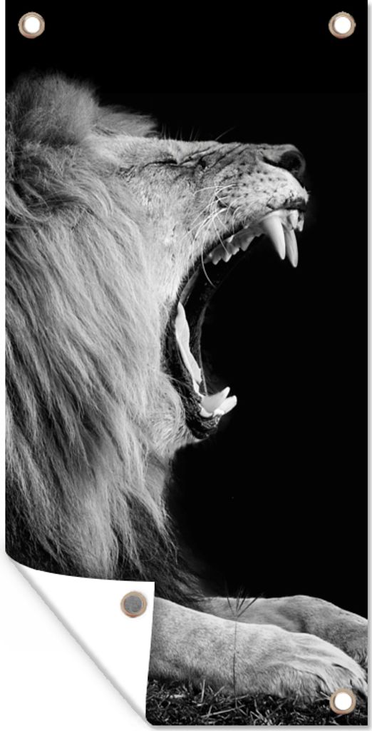 MuchoWow 30x60 cm Outdoor-Poster Gartendeko Sichtschutz Garten Poster für den Garten Löwe - Wildtiere - Gras - Schwarz - Weiß