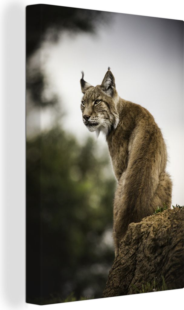 OneMillionCanvasses - Leinwandbilder - 90x140 cm, Luchs auf einem Stein sitzend, Wandbilder Kunstdruck Wanddekoration - Wandschmucke - Schlafzimmer
