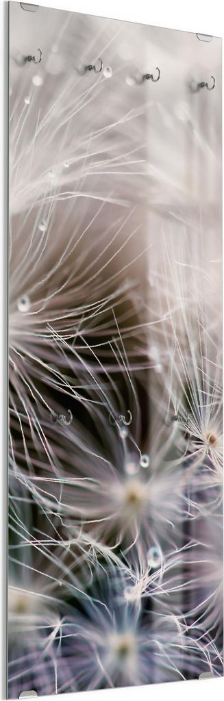 DEQORI Kleiderhaken aus Glas 50x125 cm 'Detailaufnahme Pusteblume' Wand Garderobe Haken