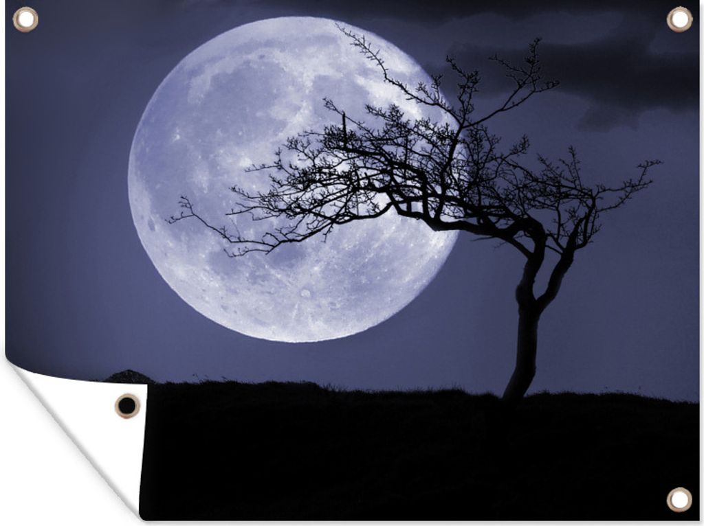 MuchoWow 40x30 cm Outdoor-Poster Gartendeko Sichtschutz Garten Poster für den Garten Mond - Baum - Schwarz